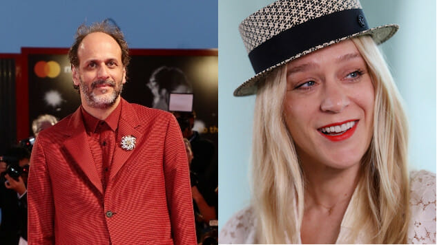 HBO Announces New Luca Guadagnino-Directed Show Starring Chloe Sevigny and Kid Cudi