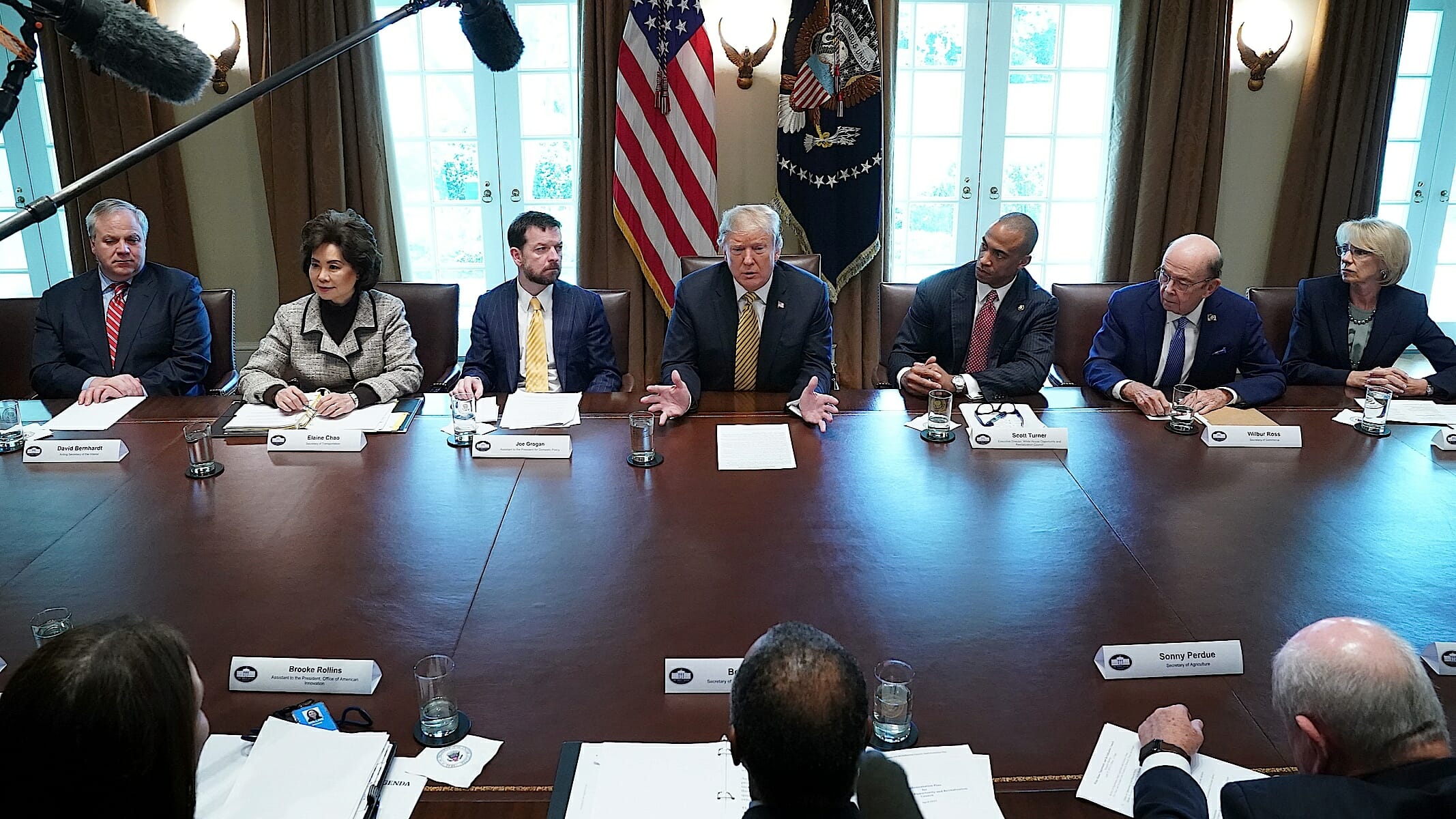 Can You Guess Which One of Trump’s Cabinet Members Keeps Falling Asleep During Meetings?