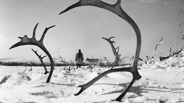 The Best Horror Movie of 1952: The White Reindeer