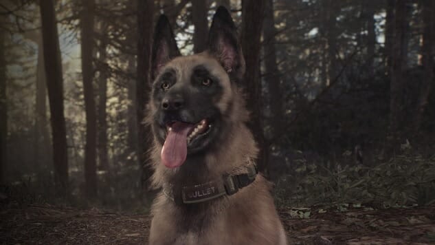 By The Way, Yes, You Can Pet The Dog in Blair Witch