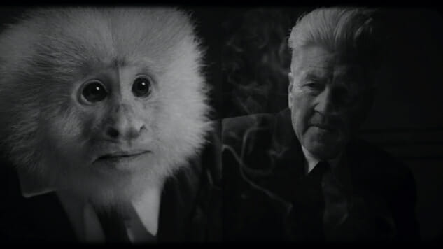 David Lynch Interrogates a Monkey in Surprise Netflix Short Film What Did Jack Do?
