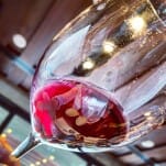 Celebrating Harvest at Bodega Garzon, Immersed in Uruguayan Wine