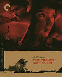 cranes-are-flying-criterion-cover.jpg