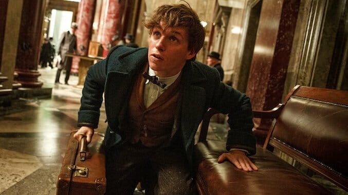 Fantastic Beasts Sequel Casting Teenage Versions of Leads