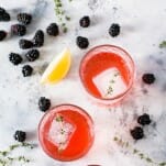 Cocktail Queries: What Is a Shrub, and How Are They Used in Cocktails?