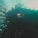 The Deep House Trailer Promises an Underwater Haunted House Horror Film