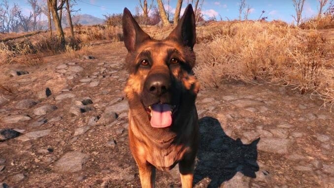 The Real-Life Dogmeat from Fallout 4 Has Passed Away