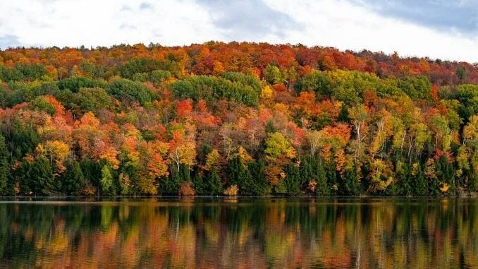 The 6 Best New England Destinations for Fall