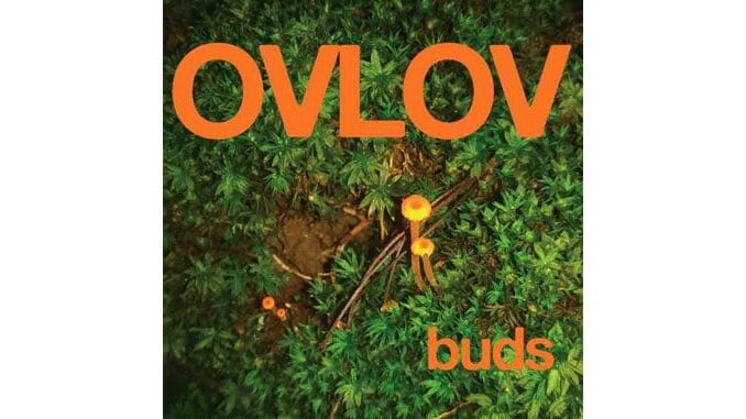 Fuzz-Pop Cult Faves Ovlov Scale Back the Squall a Bit on Buds