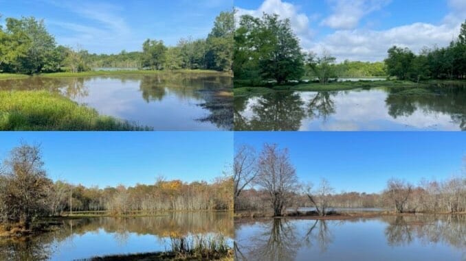 constitution-lakes-seasons.jpg