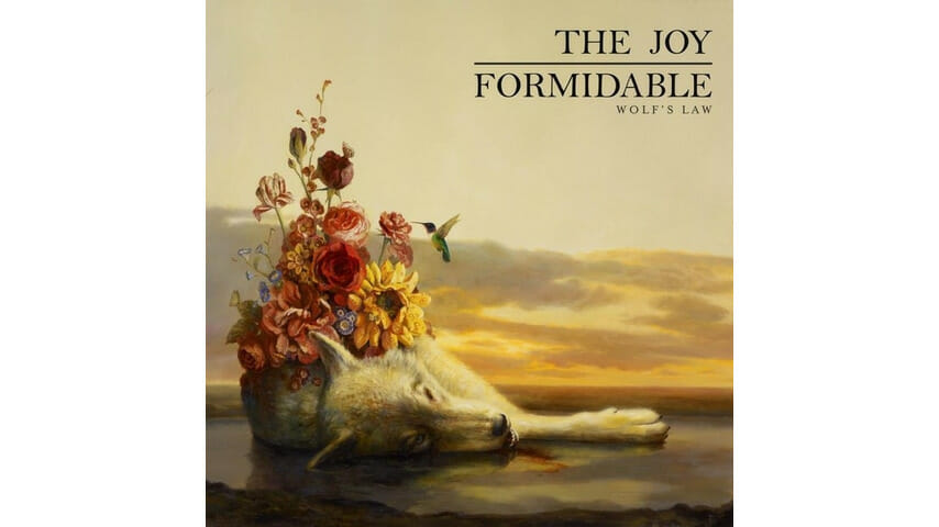 The Joy Formidable: Wolf’s Law