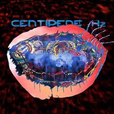 Animal Collective: Centipede Hz