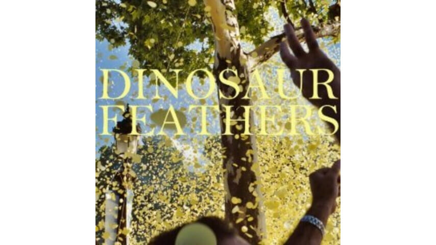 Dinosaur Feathers: Whistle Tips