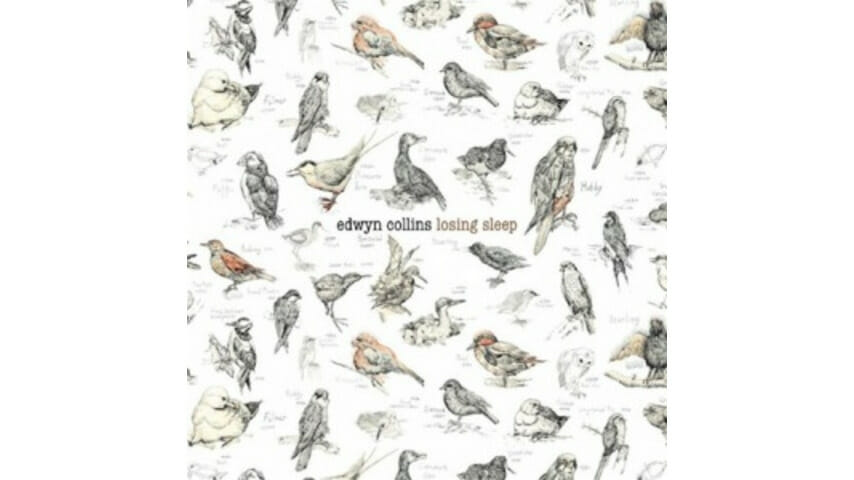 Edwyn Collins: Losing Sleep