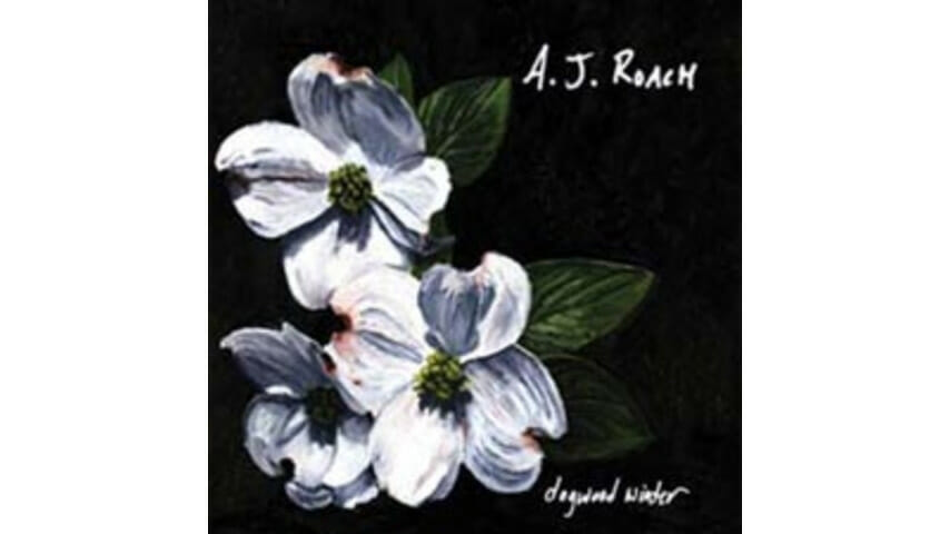 A.J. Roach – Dogwood Winter