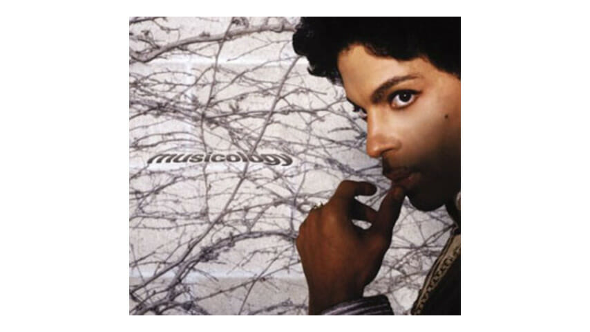 Prince – Musicology