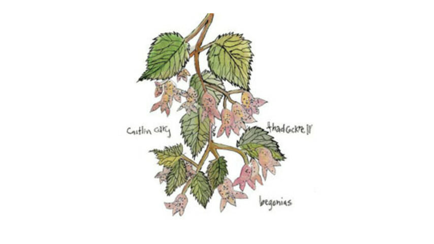 Caitlin Cary & Thad Cockrell – Begonias