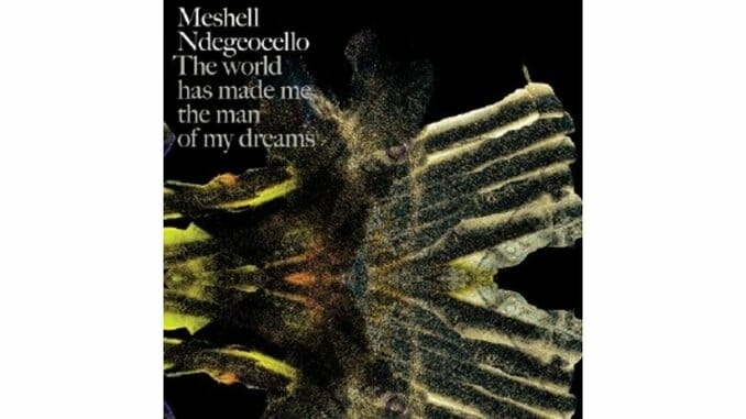 Meshell Ndegeocello: The World Has Made Me the Man of My Dreams