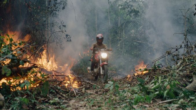 Essential Environmental Doc The Territory Platforms the Plight of Indigenous Brazilians