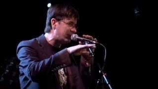 The Mountain Goats - House Guest