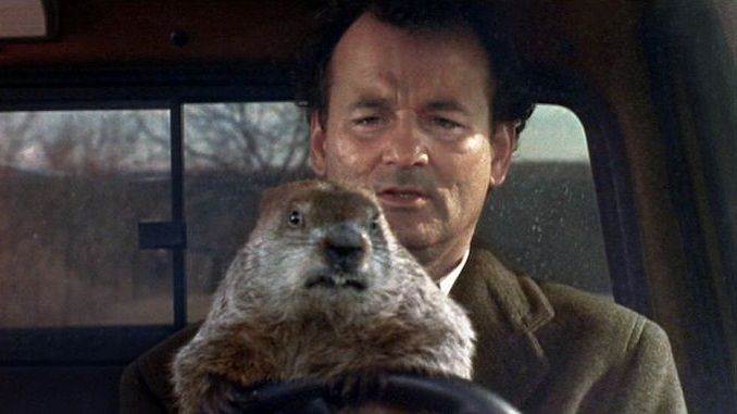 The Best Comedy Movies on Netflix Right Now