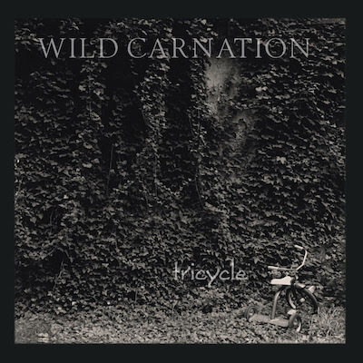 Wild Carnation album cover