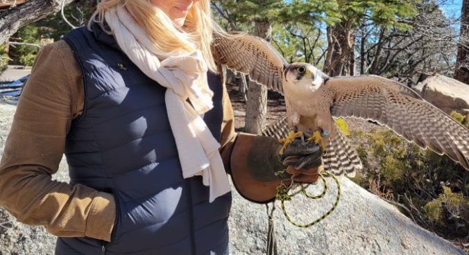 The (Exhilarating) Falconry Program at The Broadmoor in Colorado