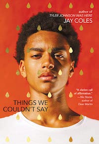 Things We Couldn't Say cover queer YA