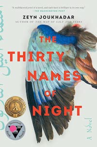 The Thirty Names of Night cover Must Read Trans Lit