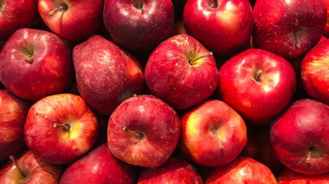 How to Use Up All Those Apples You Picked