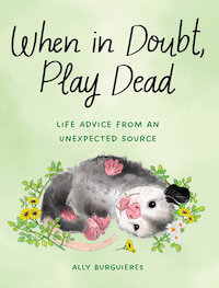 When In Doubt Play Dead cozy end of year read