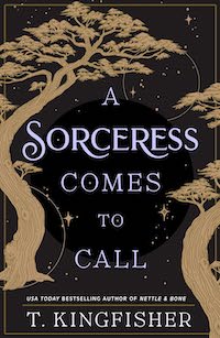 A Sorceress Comes To Call Fantasy 2024