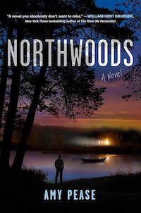 Northwoods Thriller Books 2024