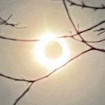 An Eclipse Among the Animals: The Columbus Zoo and Aquarium's Solar-Bration