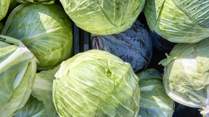 Cabbage Isn't Just For Winter