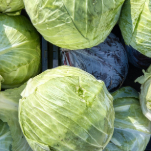 Cabbage Isn't Just For Winter