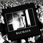 Time Capsule: Bauhaus, In the Flat Field