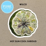 Wilco Sound Their Best in Years on Hot Sun Cool Shroud