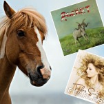 25 Songs About Horses Ranked By How Much I Think You Should Play Them For Your Horse