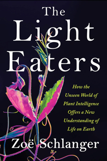 The Light Easters Nature Books