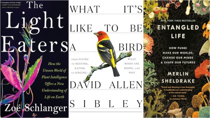 Five Great Nature Books to Get Your Mind Off Other Things