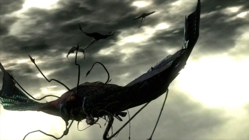 from software