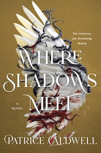 Where Shadows Meet YA April 2025 cover
