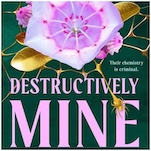 Get a First Look at Highly Anticipated Sequel Destructively Mine From Krista and Becca Ritchie