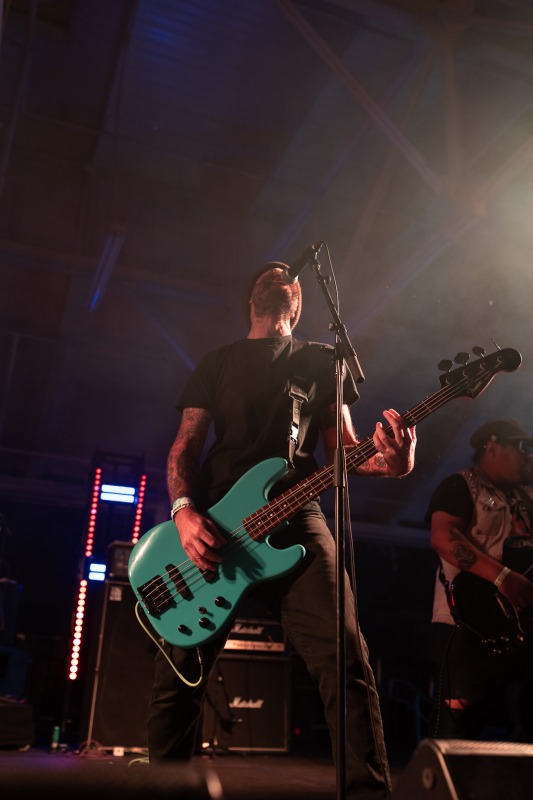 Punk in the Park