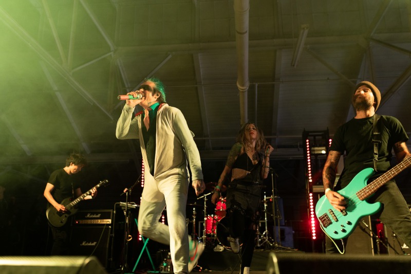 Punk in the Park