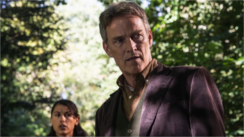 Stephen Moyer Is an Incredibly Charming Nerd In Acorn TV Mystery Series Art Detectives