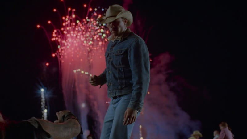 Color Theory: Brokeback Mountain and the Complexion of Longing