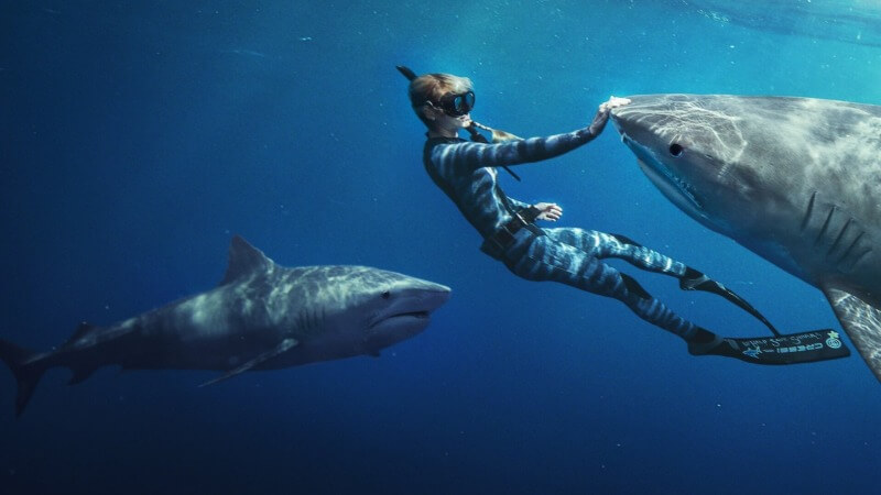 Shark Whisperer’s Passionate Conservation Hints at the Inner Darkness of Ocean Ramsey