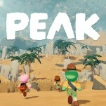 Not Every Co-Op Game is 